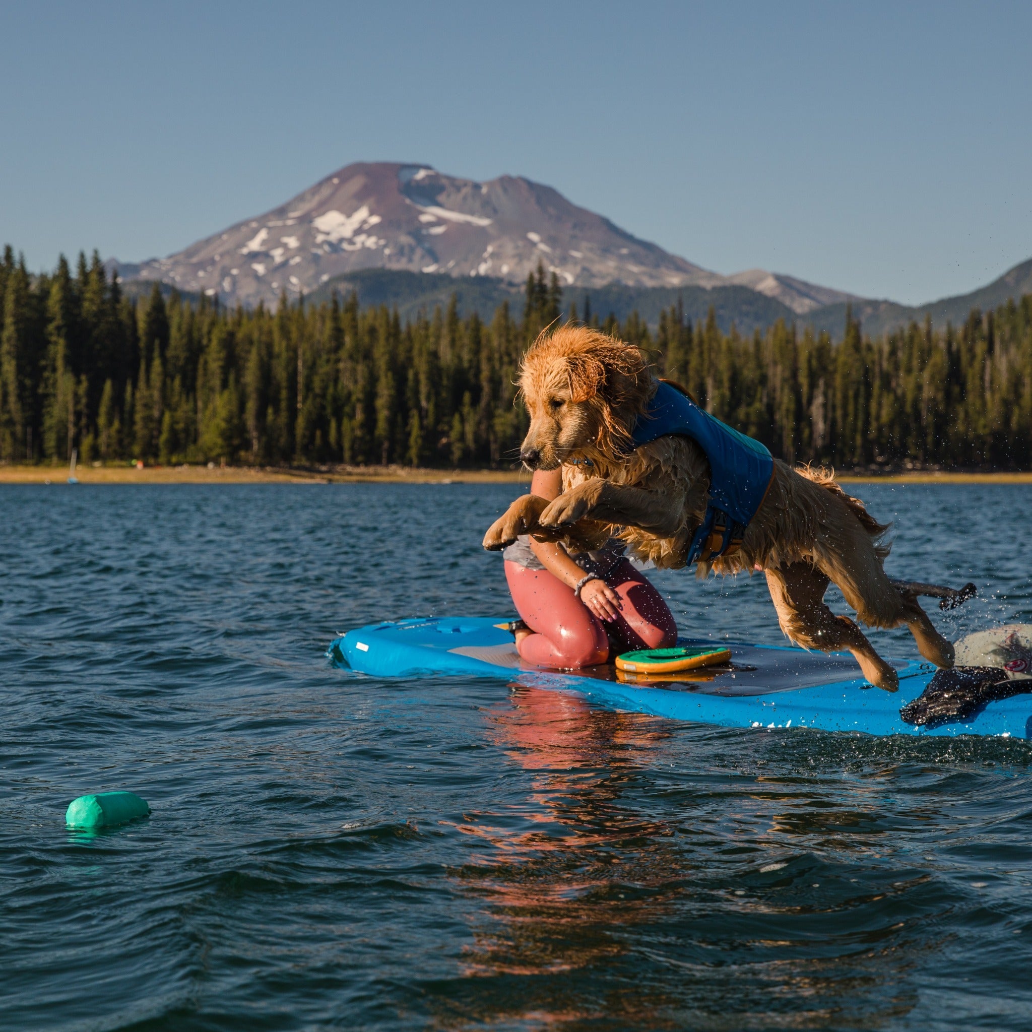 Ruffwear Lunker™ Hundespielzeug schwimmfähig - Woofshack