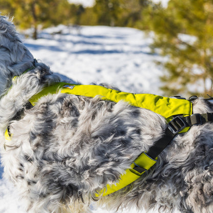 Ruffwear Omnijore™ Joring System, Jöring-Set mit Zuggeschirr - Woofshack