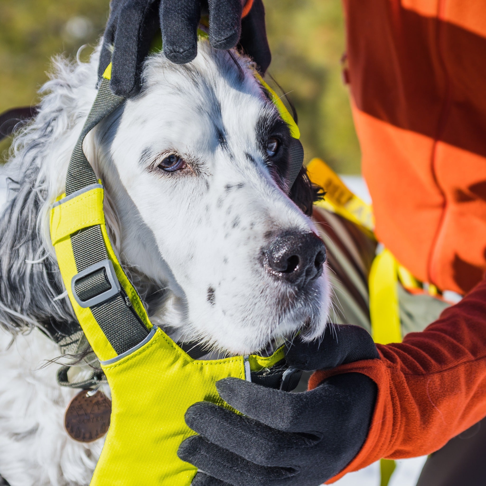 Ruffwear Omnijore™ Joring System, Jöring-Set mit Zuggeschirr - Woofshack