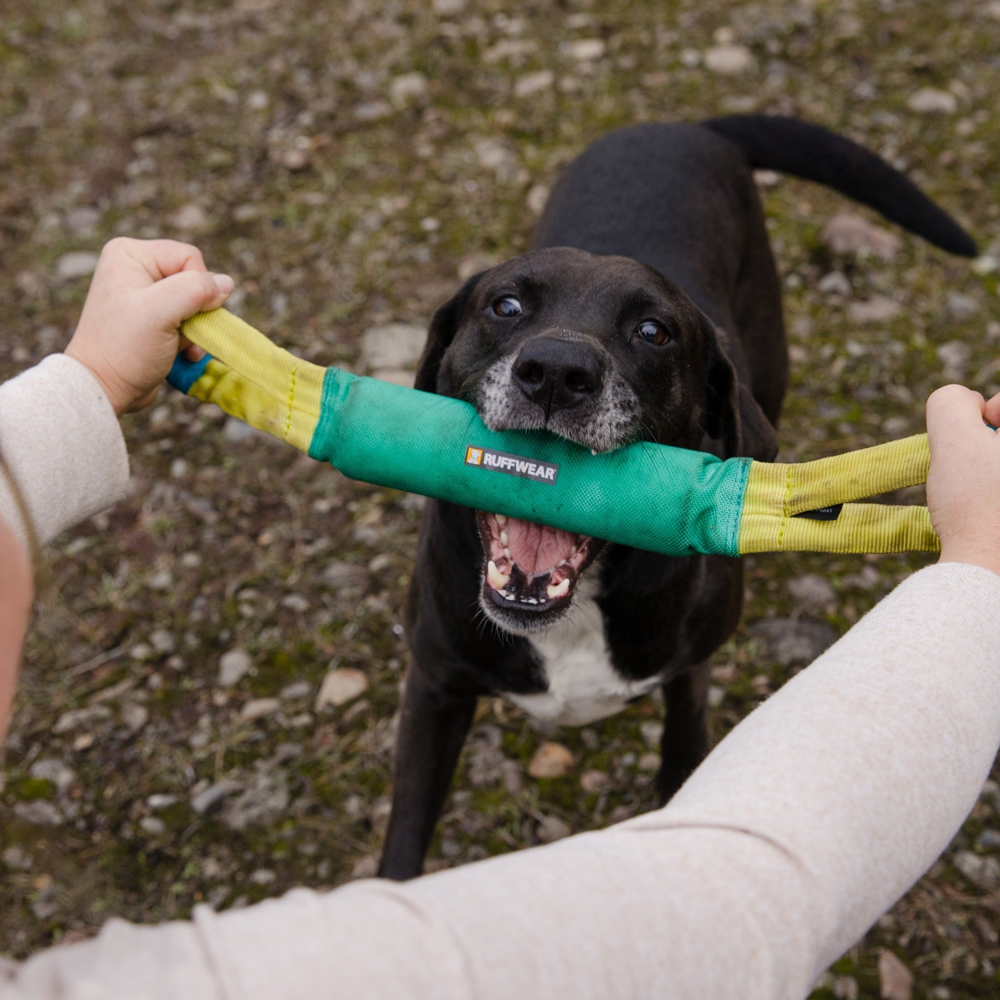 Ruffwear Pacific Loop, Hundespielzeug - Woofshack