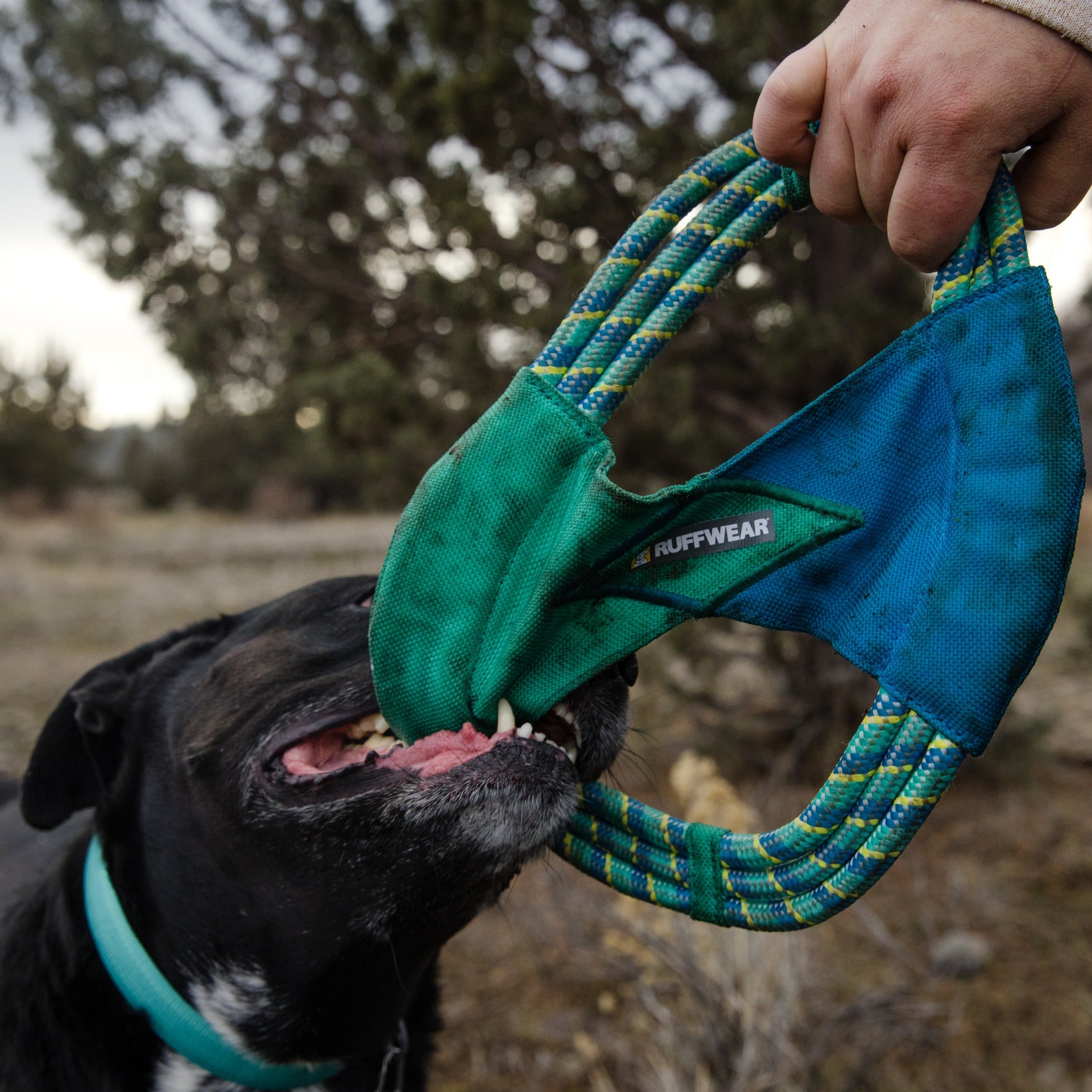 Ruffwear Pacific Ring, Hundespielzeug - Woofshack