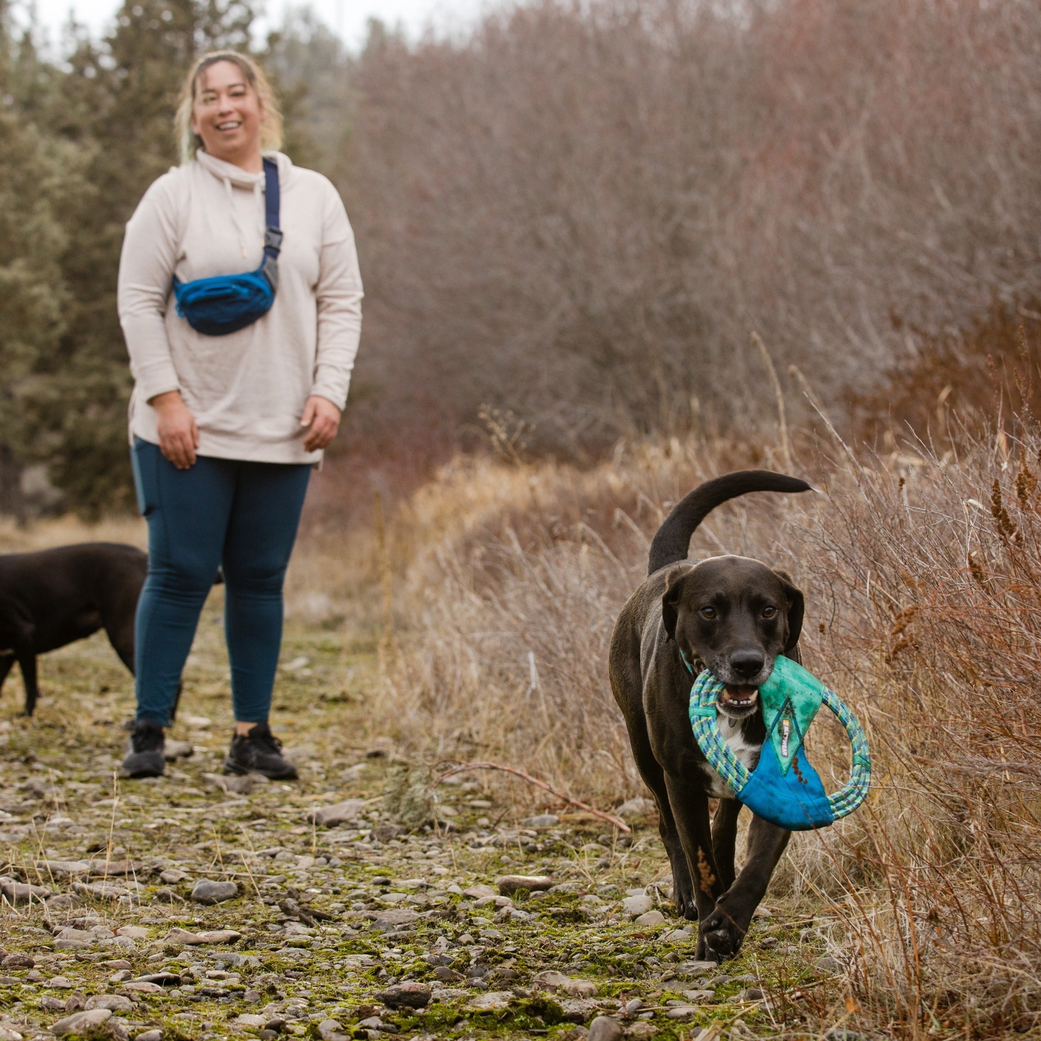 Ruffwear Pacific Ring, Hundespielzeug - Woofshack