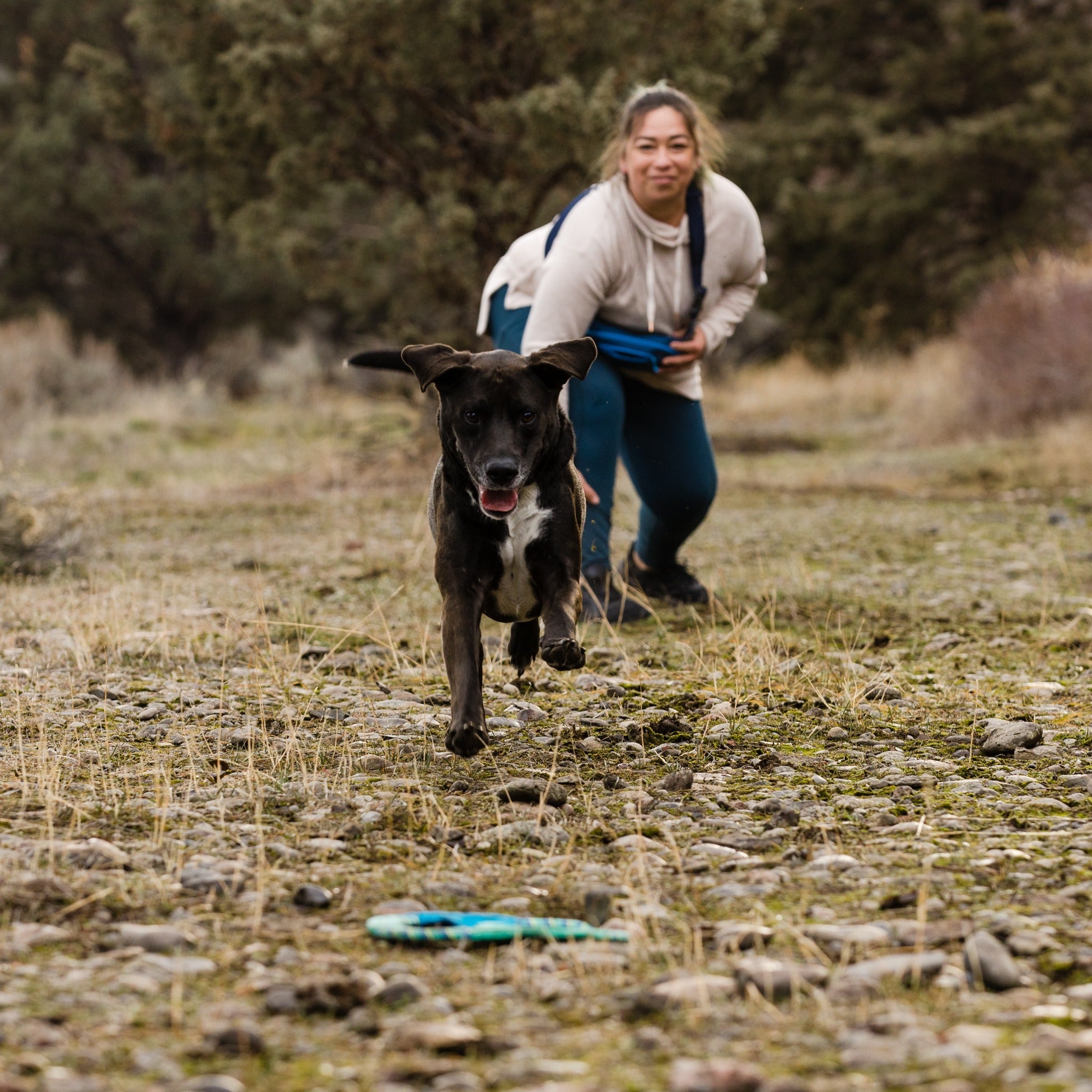 Ruffwear Pacific Ring, Hundespielzeug - Woofshack