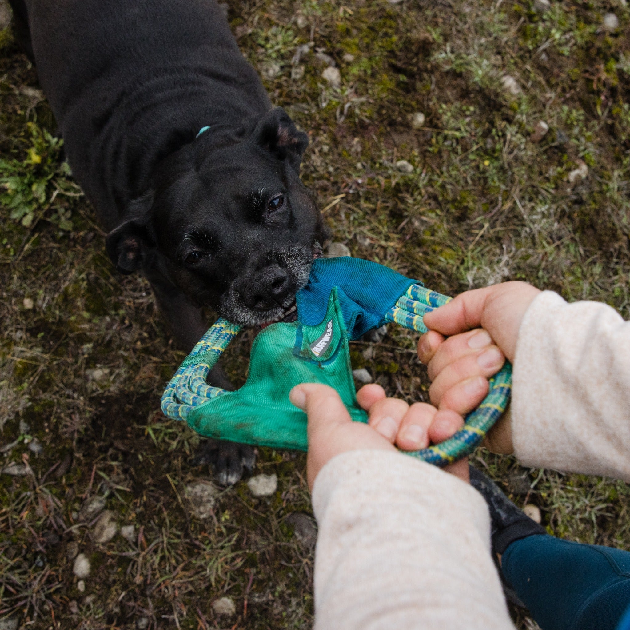 Ruffwear Pacific Ring, Hundespielzeug - Woofshack