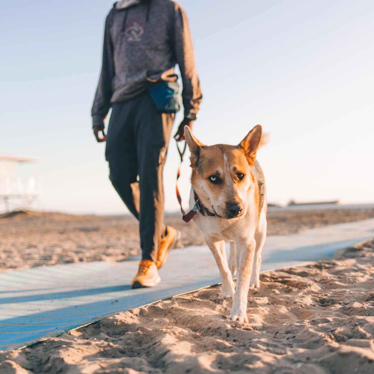 Ruffwear Pack Out Bag, Kotbeuteltasche - Woofshack