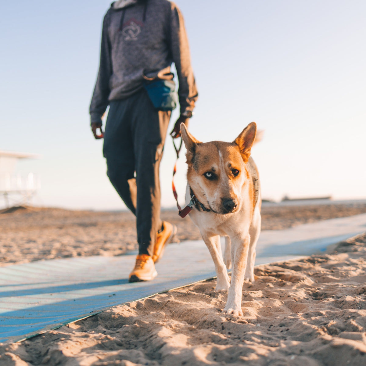 Ruffwear Pack Out Bag, Kotbeuteltasche - Woofshack