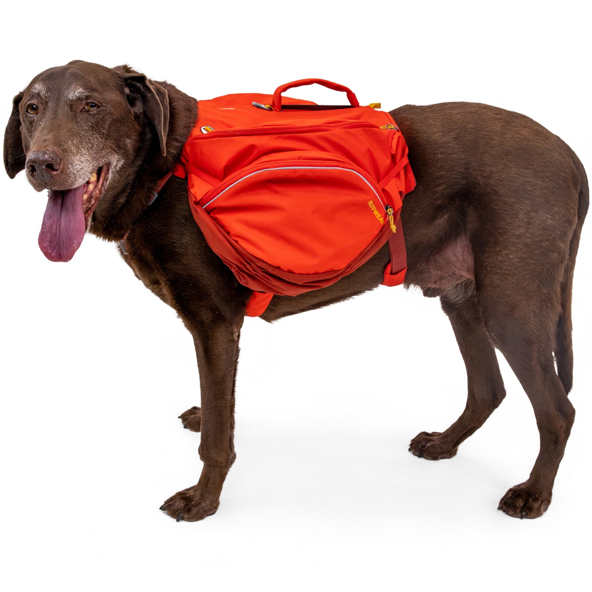 Ruffwear Palisades™ Pack, Hunderucksack mit abnehmbaren Taschen - Woofshack