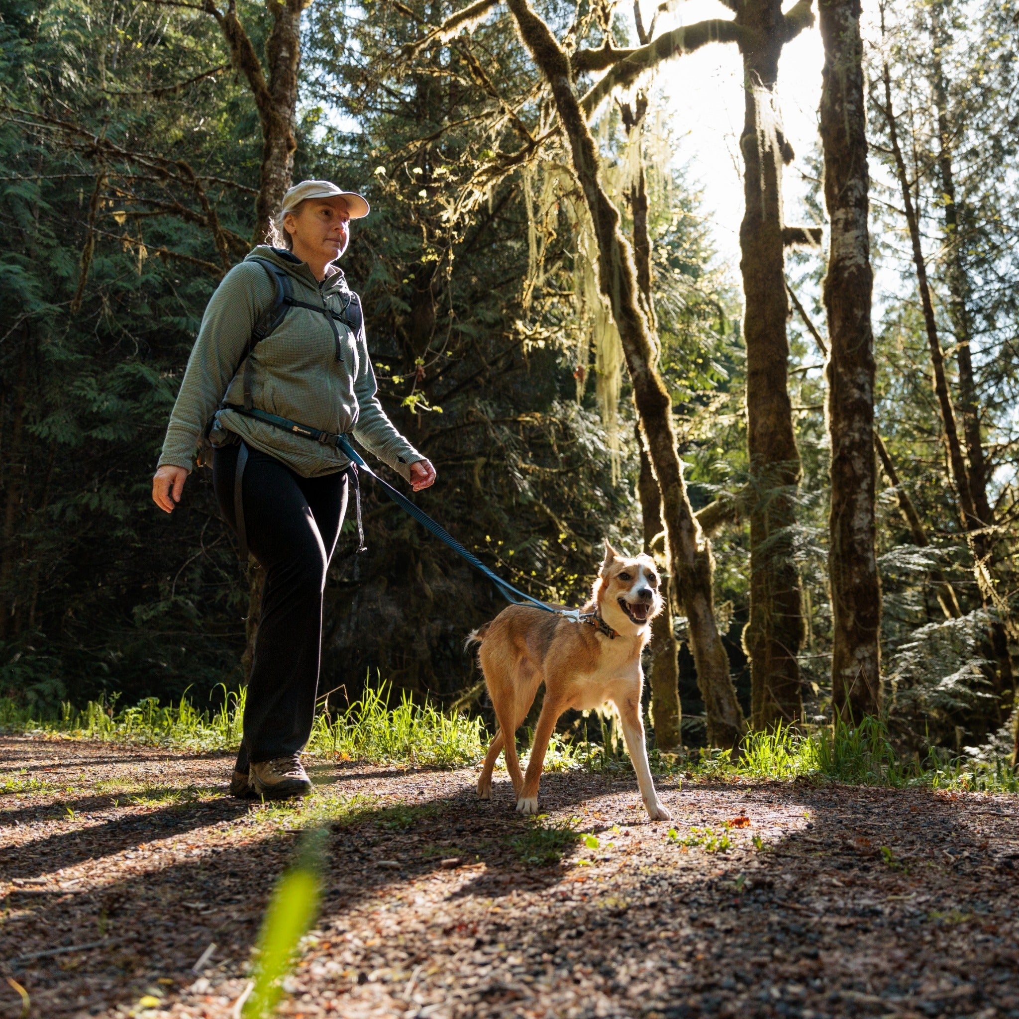 Ruffwear Roamer™ Leash, Hands Free Hunde Joggingleine - Woofshack