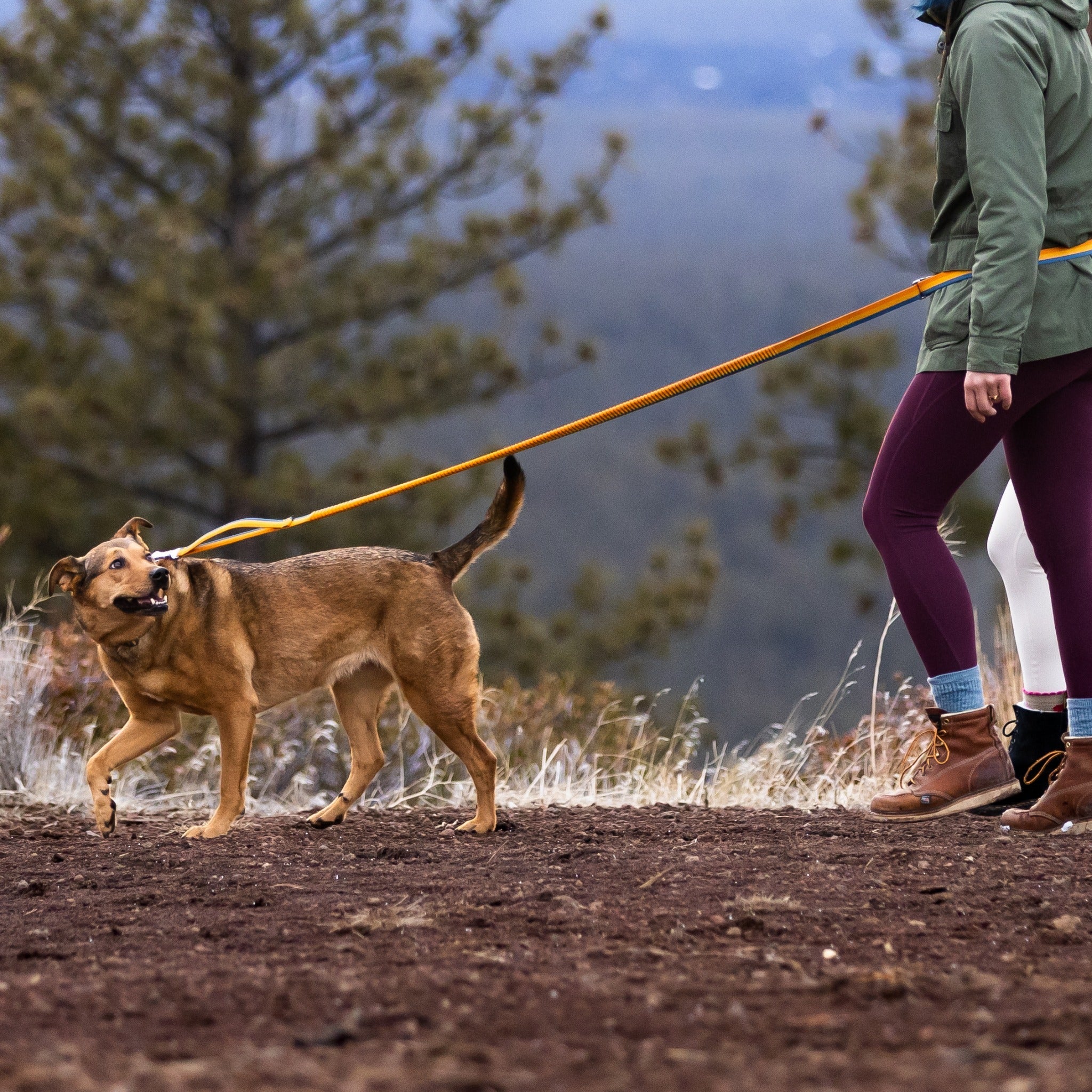 Ruffwear Roamer™ Leash, Hands Free Hunde Joggingleine - Woofshack