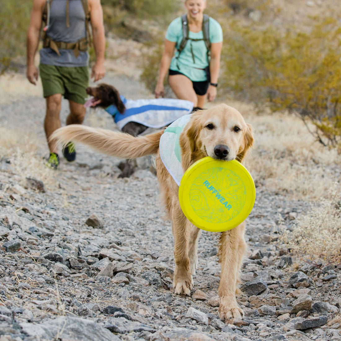 Ruffwear Swamp Cooler™ Hunde Kühlweste - Woofshack