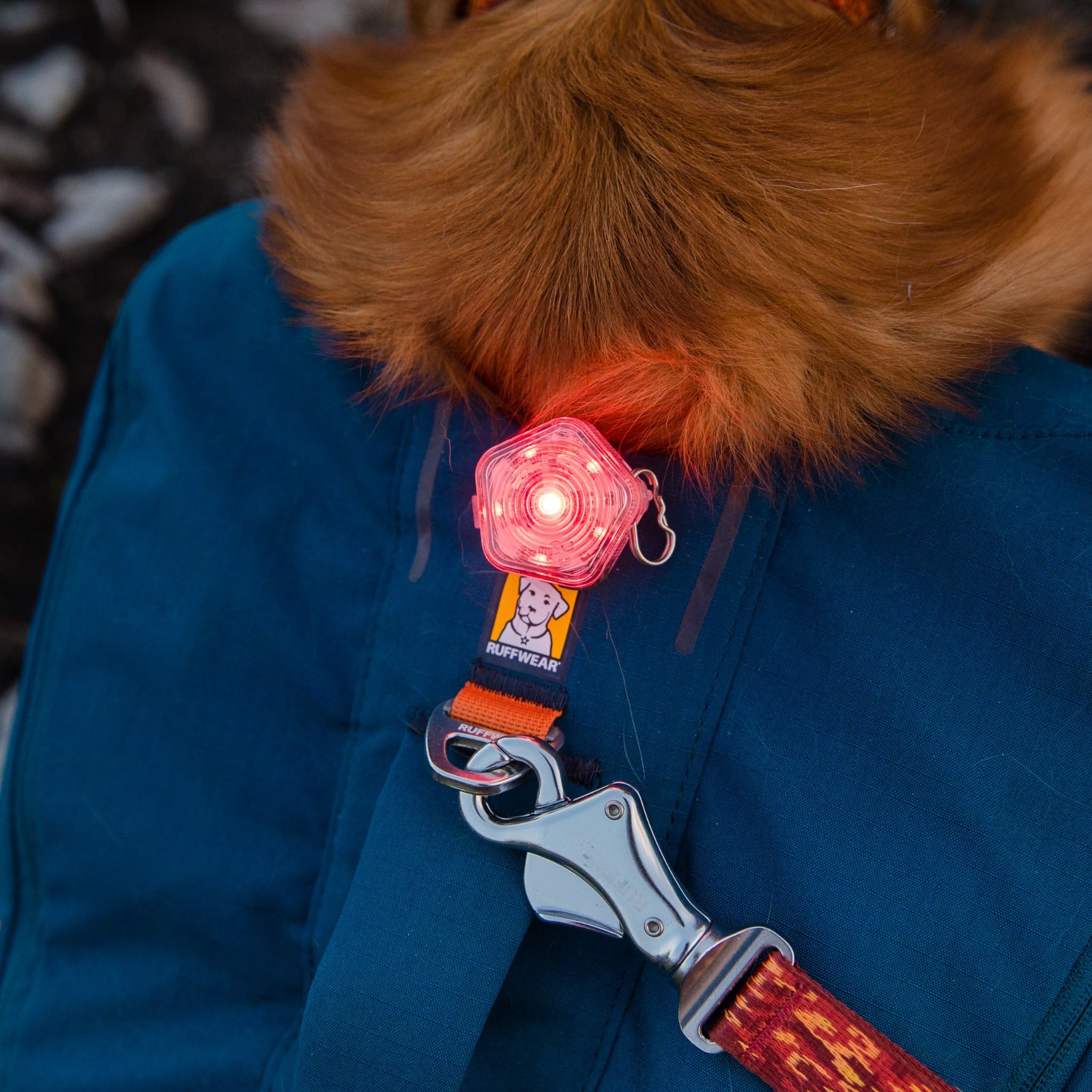 Ruffwear The Beacon™ LED Sicherheitslicht für Hunde - Woofshack
