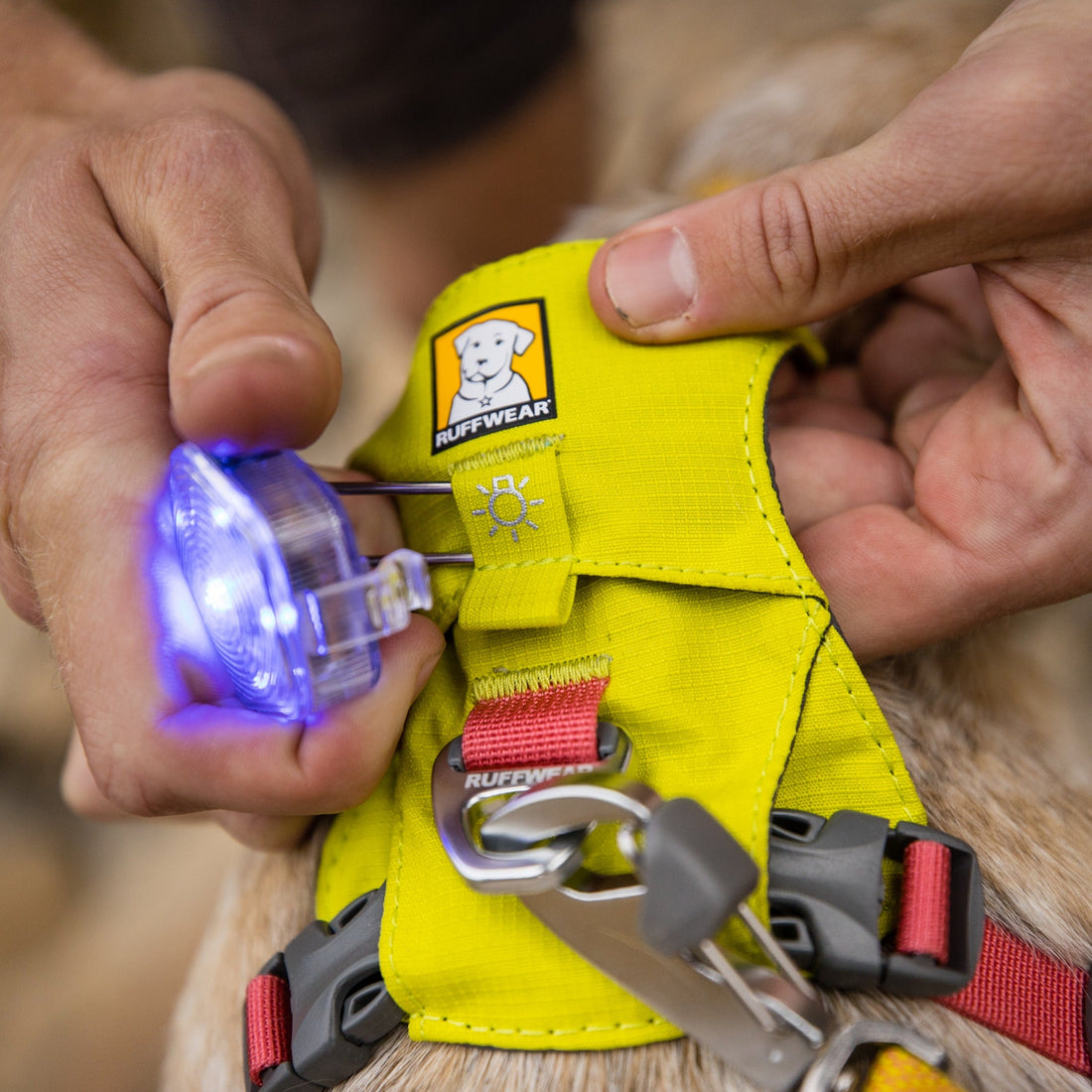 Ruffwear The Beacon™ LED Sicherheitslicht für Hunde - Woofshack