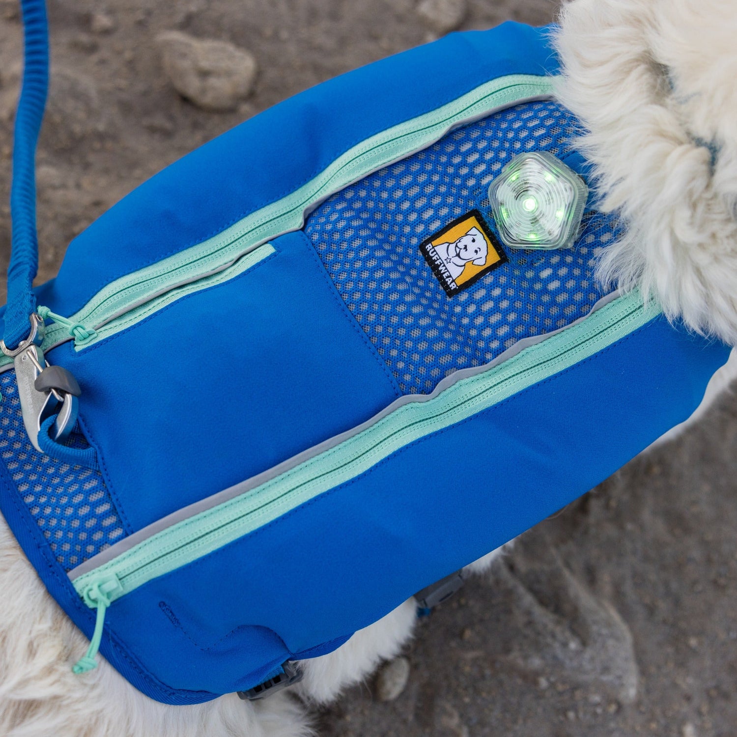 Ruffwear The Beacon™ LED Sicherheitslicht für Hunde - Woofshack