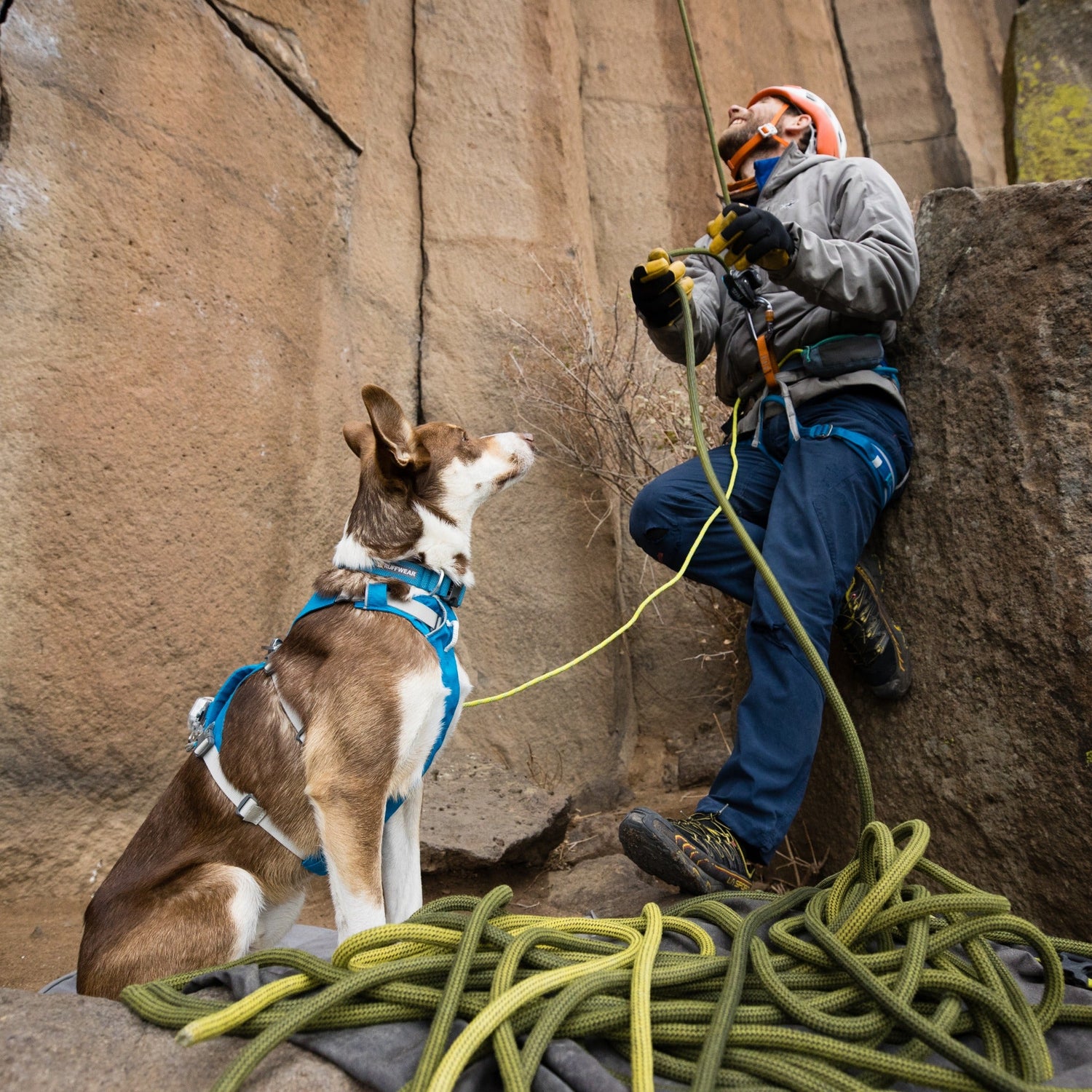 Ruffwear The Beacon™ LED Sicherheitslicht für Hunde - Woofshack