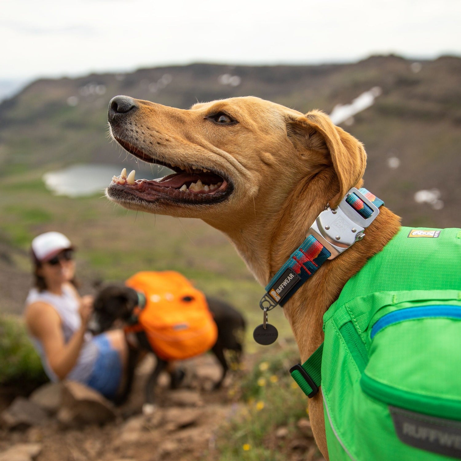 Ruffwear Top Rope™ Collar, Hundehalsband mit Schnellverschluss - Woofshack