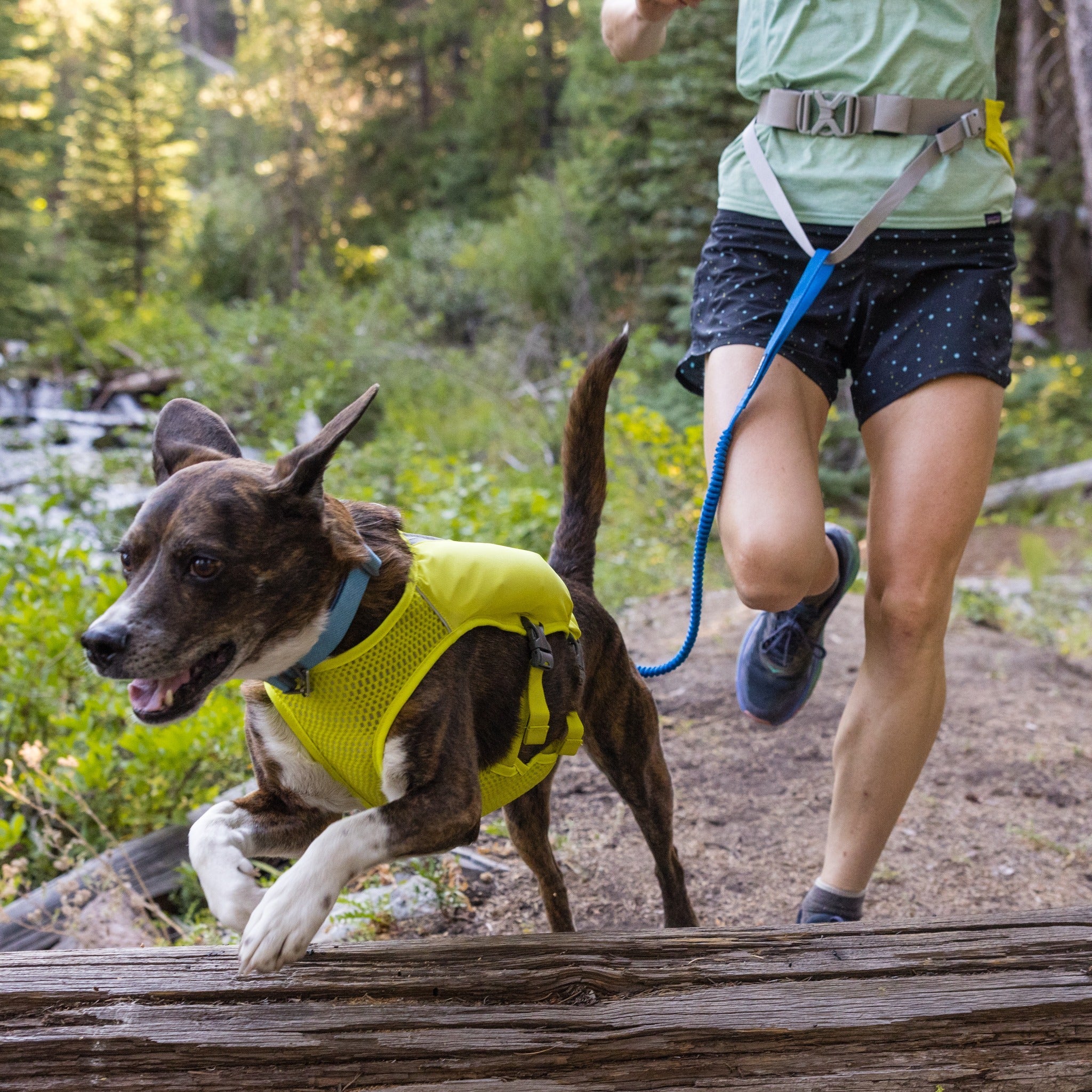 Ruffwear Trail Runner Leash, Hundeleine - Woofshack