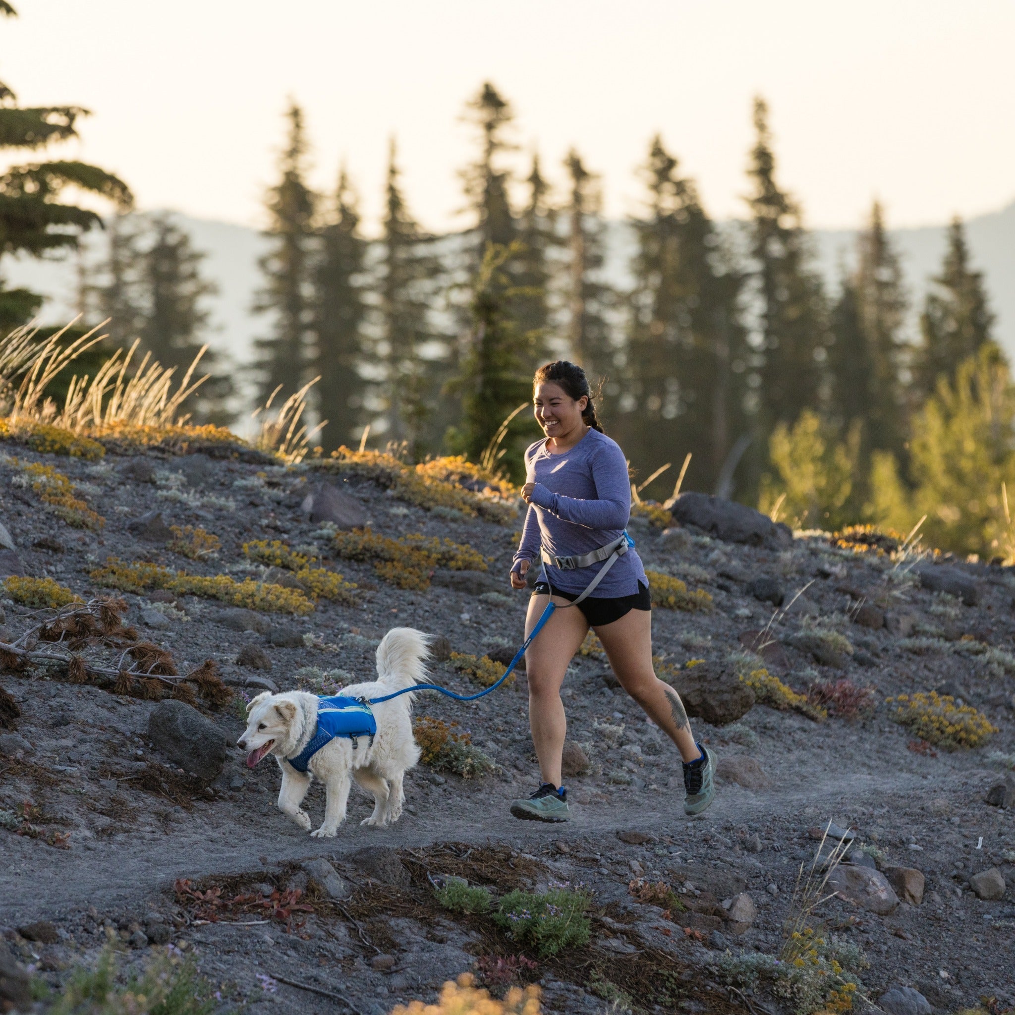 Ruffwear Trail Runner Leash, Hundeleine - Woofshack