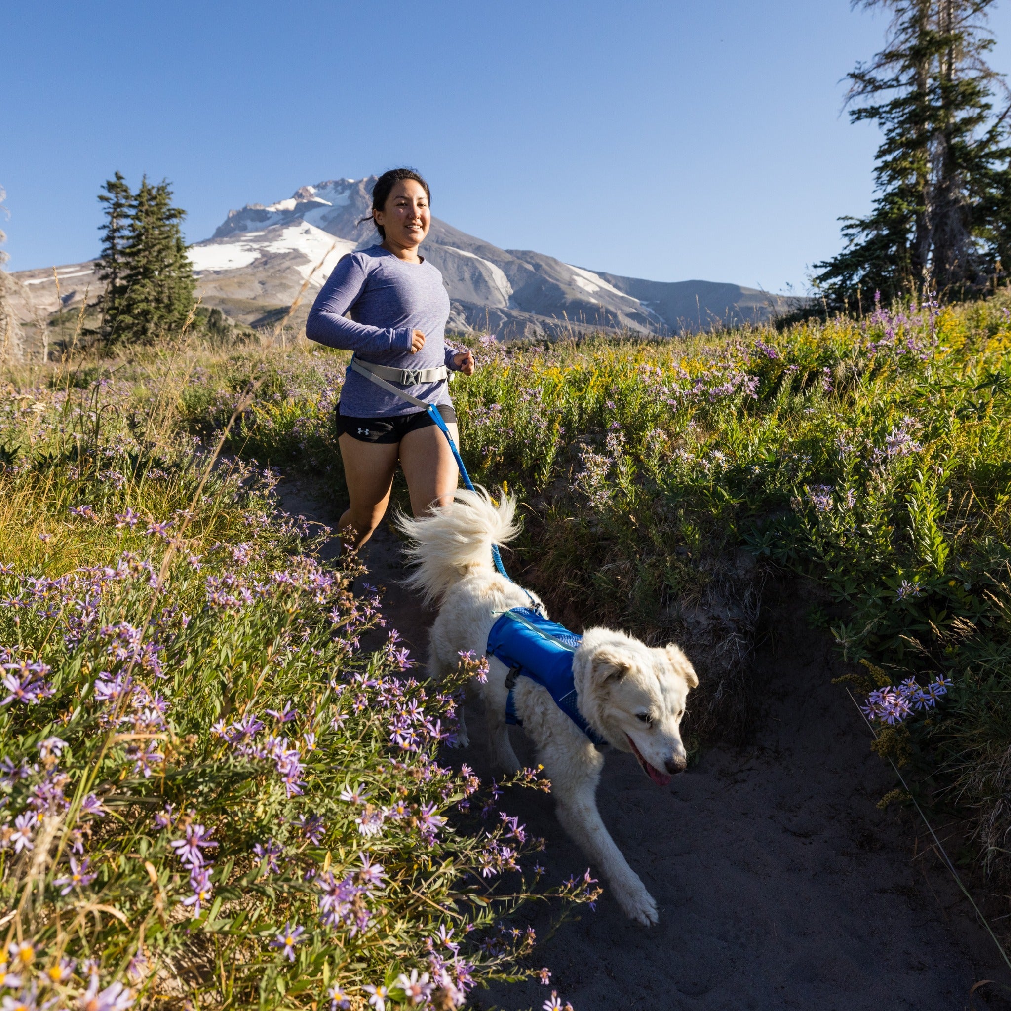 Ruffwear Trail Runner Leash, Hundeleine - Woofshack