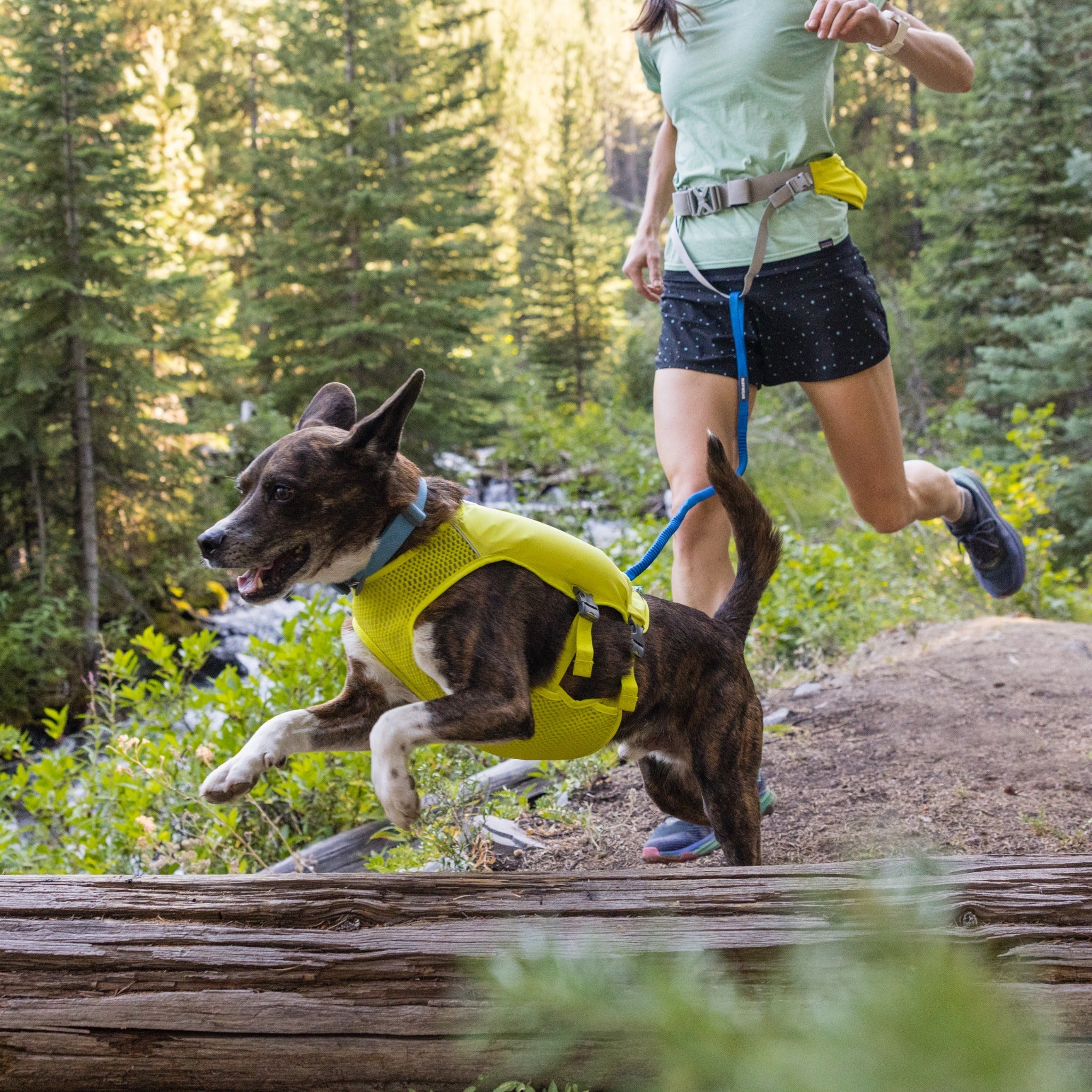 Ruffwear Trail Runner Leash, Hundeleine - Woofshack