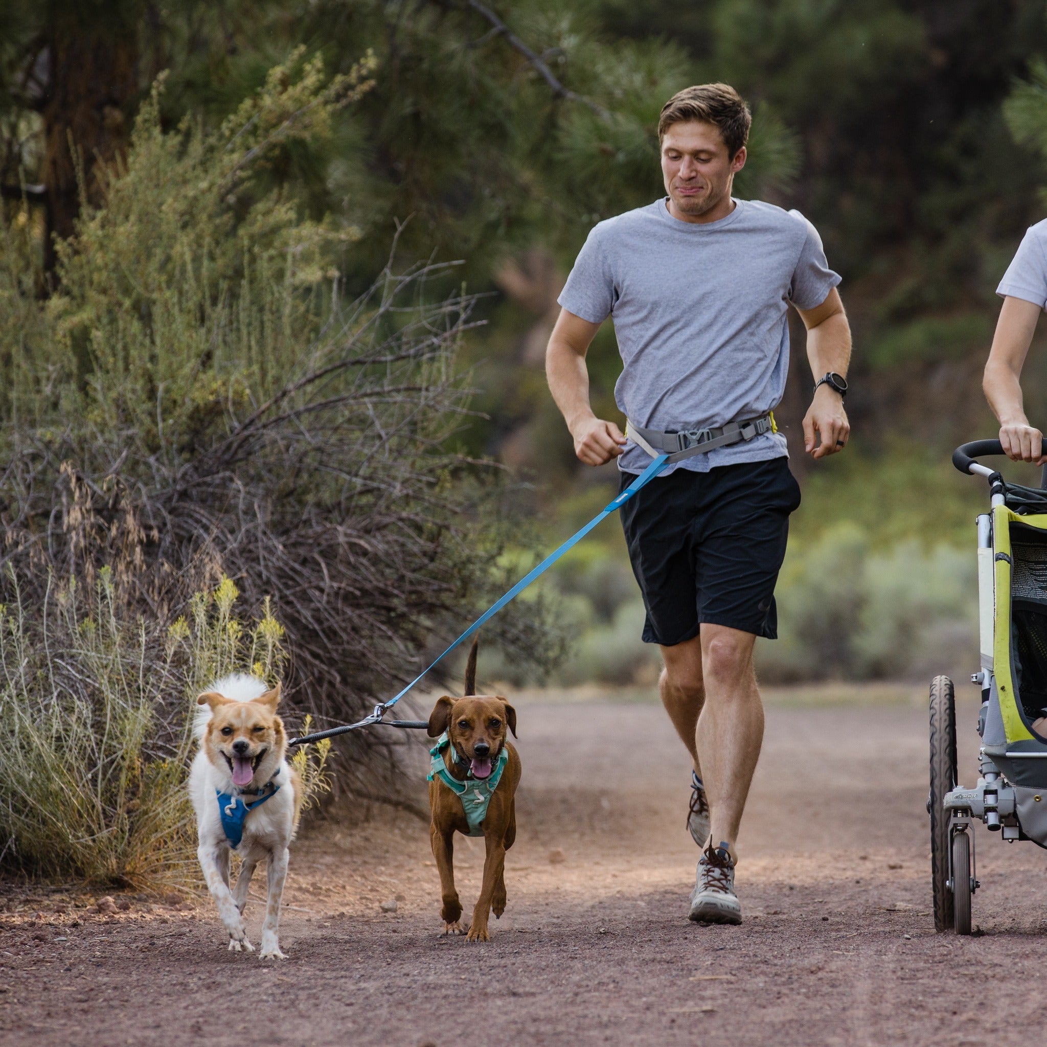 Ruffwear Trail Runner Leash, Hundeleine - Woofshack