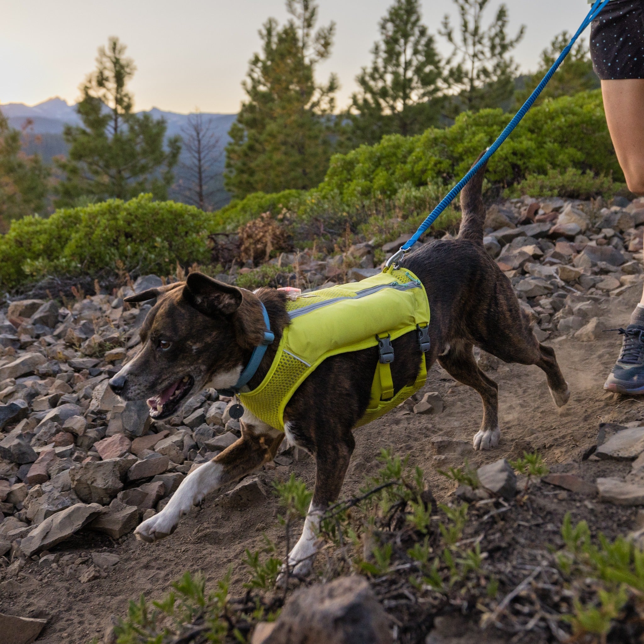 Ruffwear Trail Runner Running Vest - Woofshack