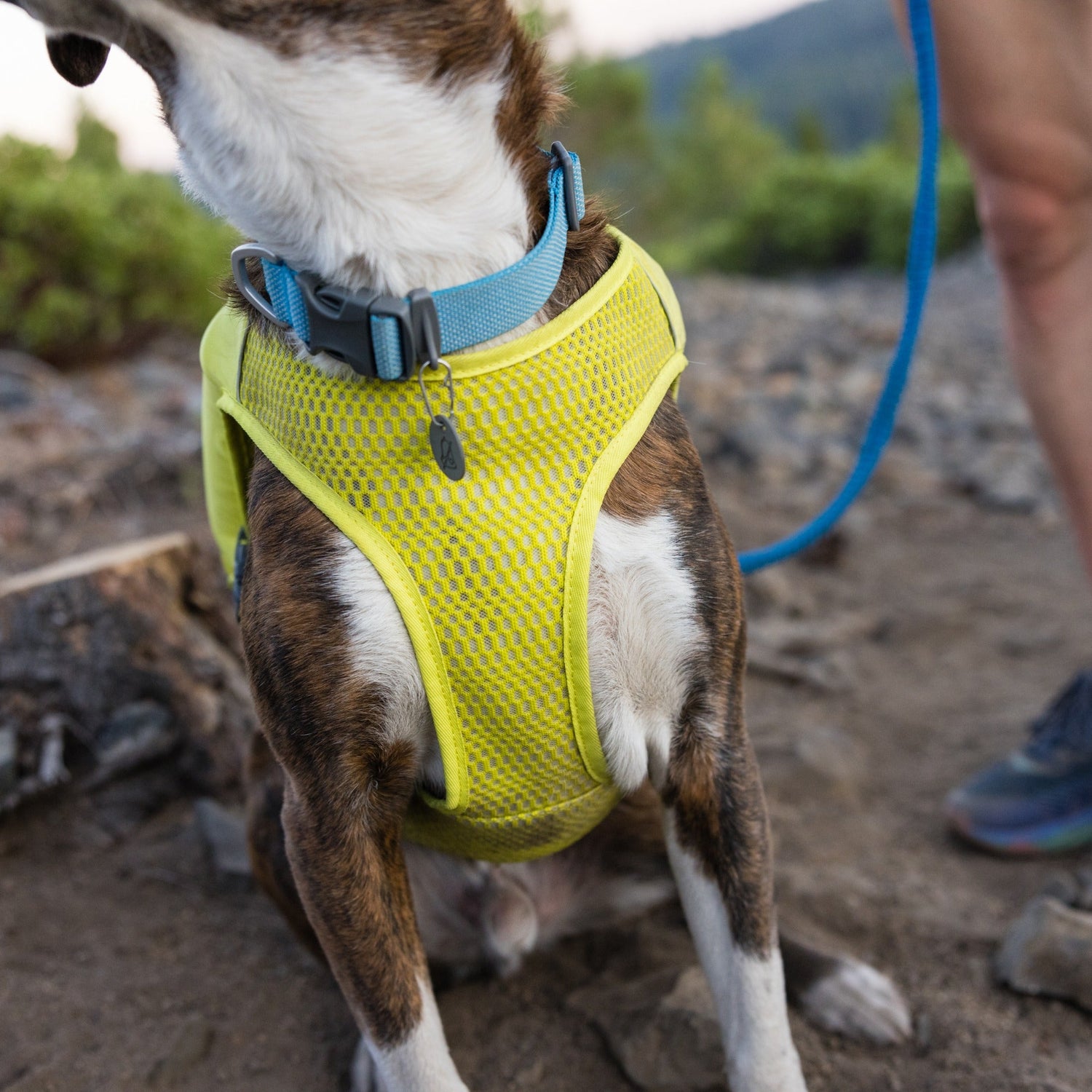 Ruffwear Trail Runner Running Vest - Woofshack