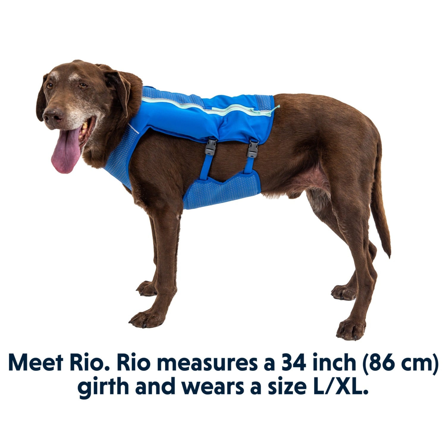 Ruffwear Trail Runner Running Vest - Woofshack