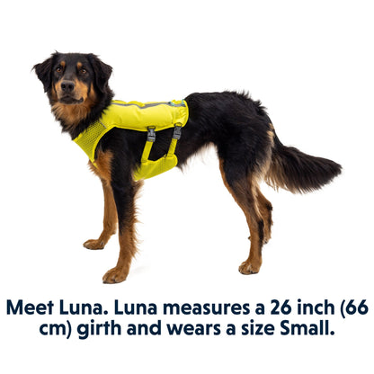 Ruffwear Trail Runner Running Vest - Woofshack