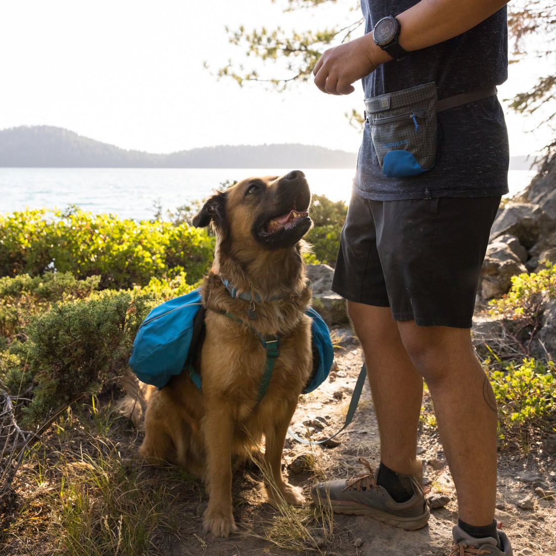 Ruffwear Treat Trader™ Belohnungstasche für Hunde - Woofshack