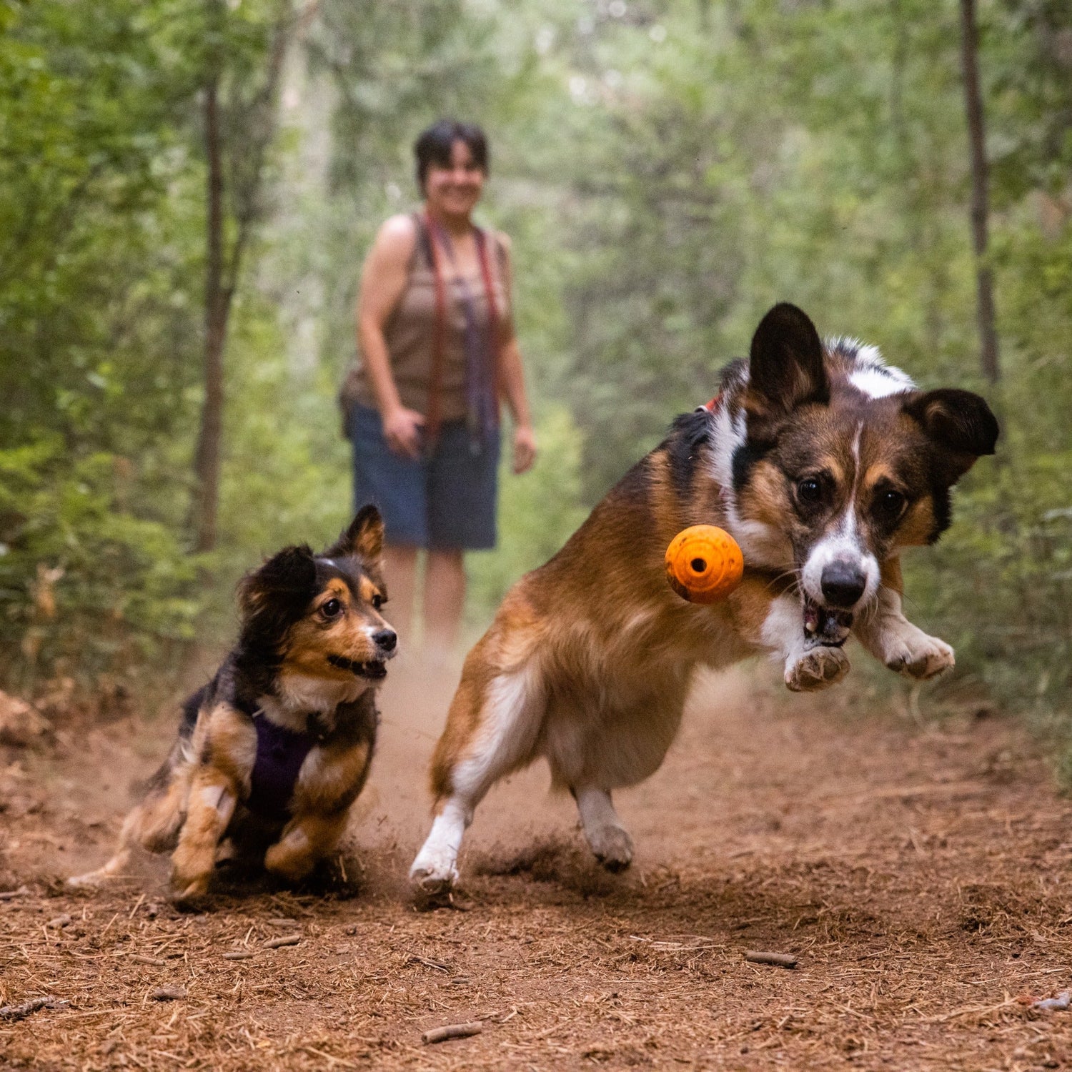 Ruffwear Turnup™ springendes Hundespielzeug - Woofshack