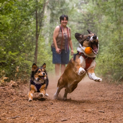 Ruffwear Turnup™ springendes Hundespielzeug - Woofshack