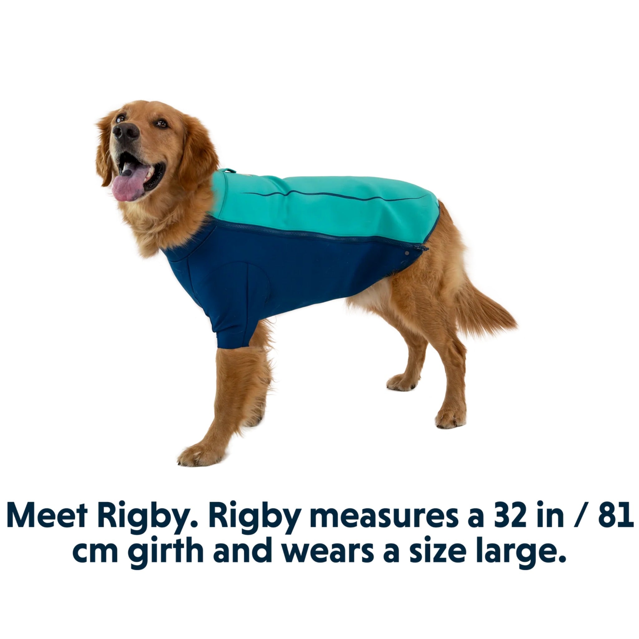 Ruffwear Undercoat Water Jacket, Hundeneoprenmantel - Woofshack