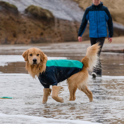 Ruffwear Undercoat Water Jacket, Hundeneoprenmantel - Woofshack