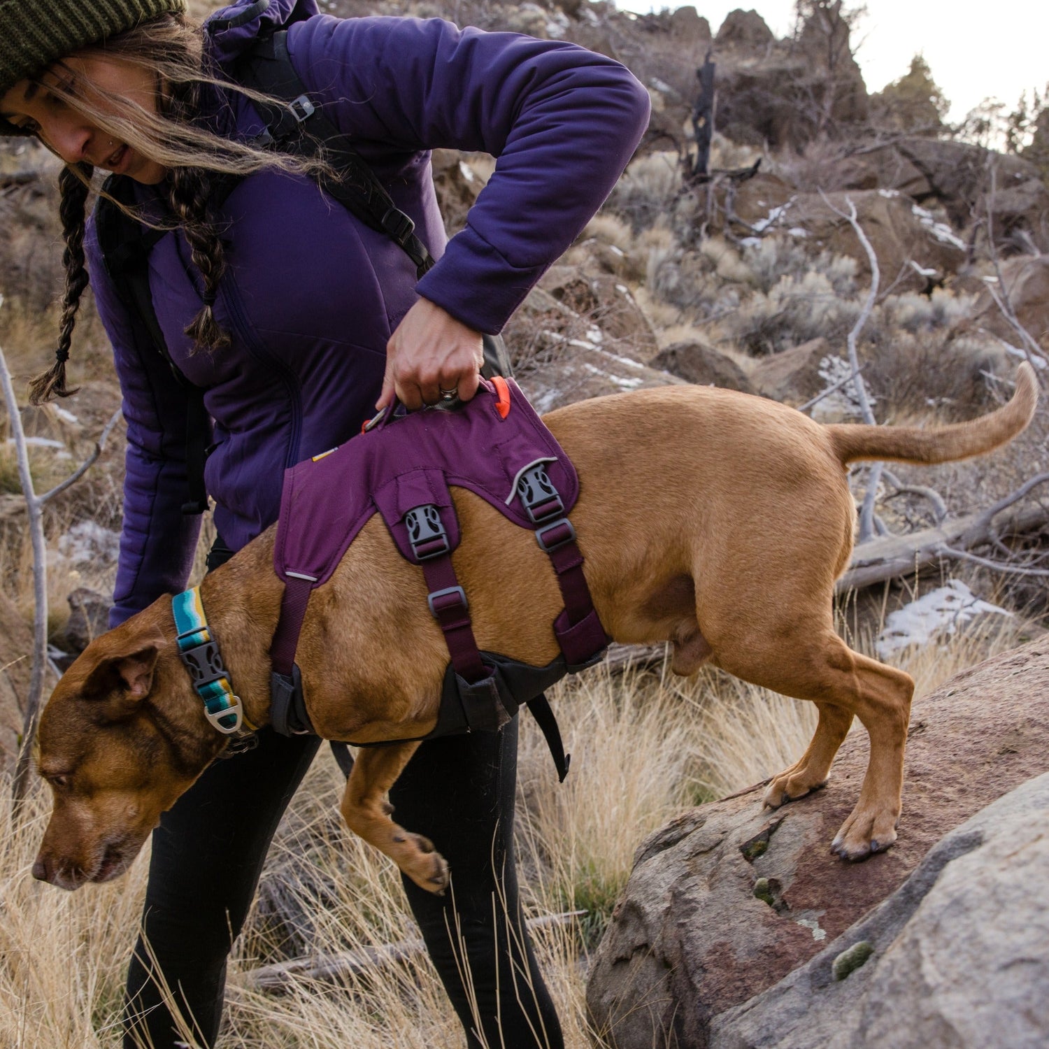 Ruffwear Web Master™ Harness, Ausbruchsicheres Hundegeschirr - Woofshack