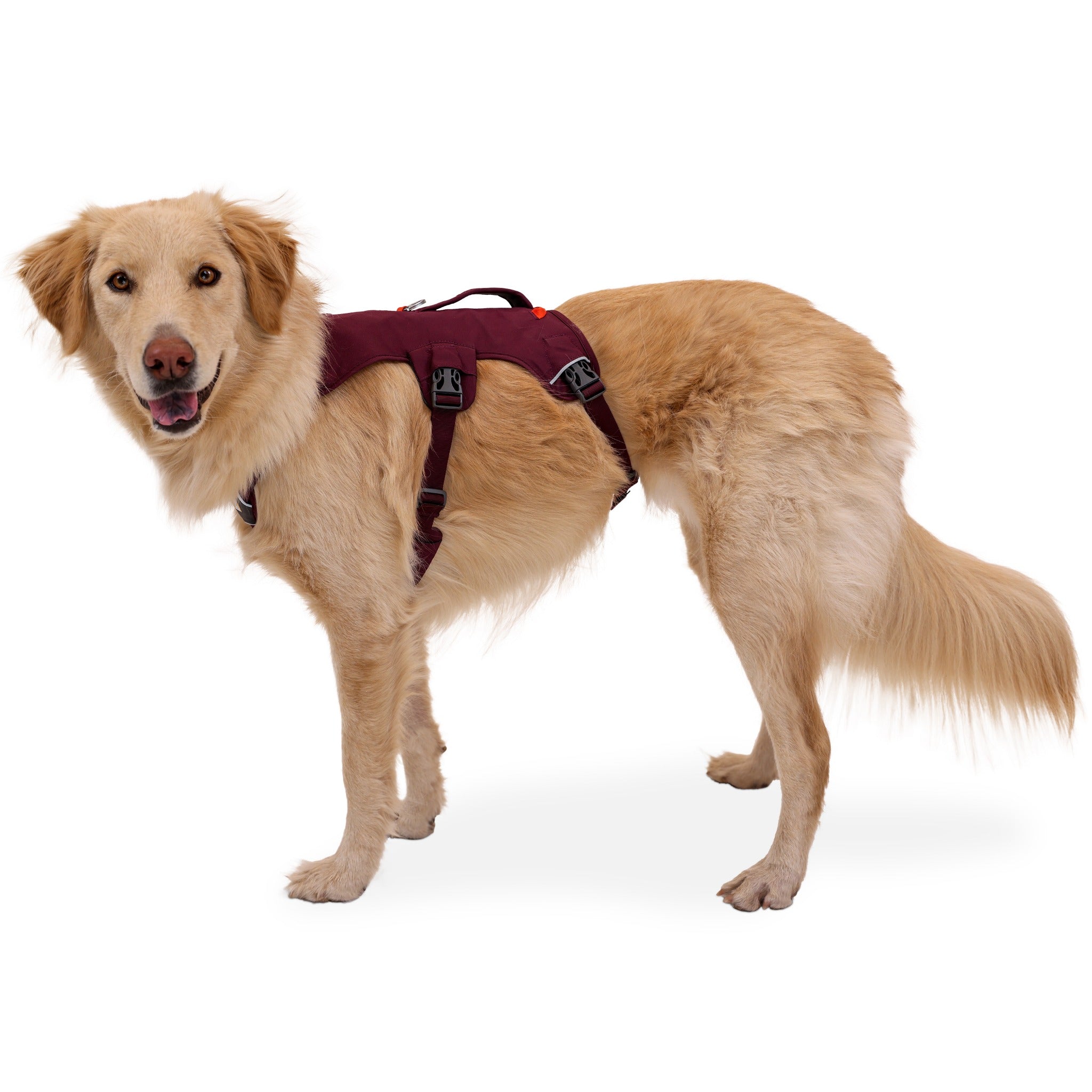 Ruffwear Web Master™ Harness, Ausbruchsicheres Hundegeschirr - Woofshack