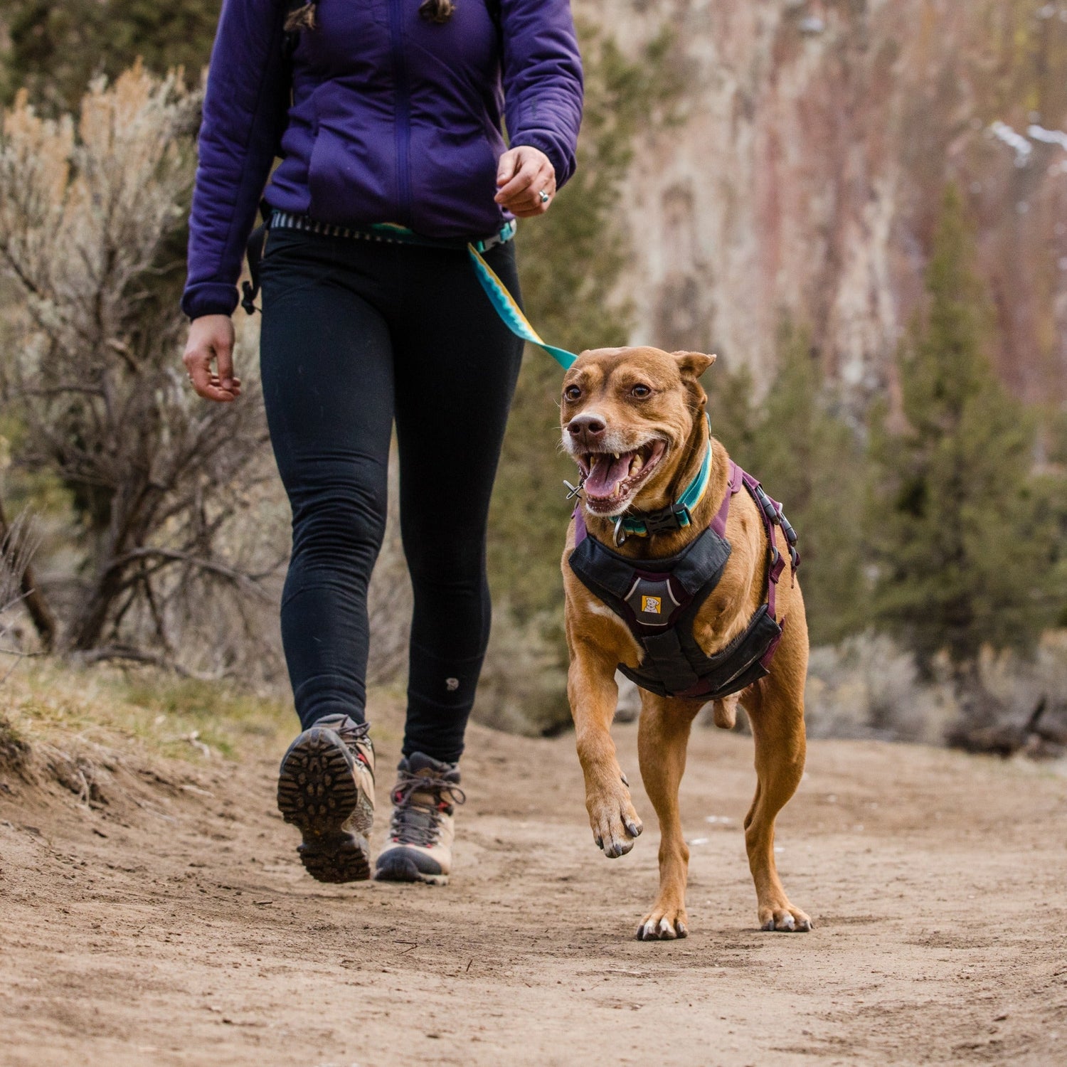 Ruffwear Web Master™ Harness, Ausbruchsicheres Hundegeschirr - Woofshack