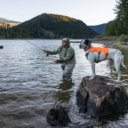 Ruffwear Web Master™ Harness, Ausbruchsicheres Hundegeschirr - Woofshack