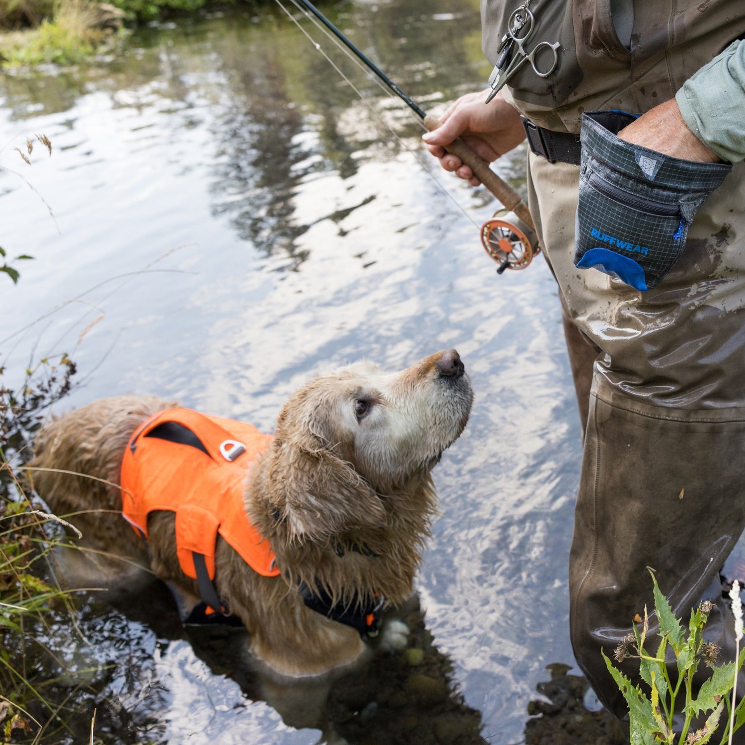 Ruffwear Web Master™ Harness, Ausbruchsicheres Hundegeschirr - Woofshack