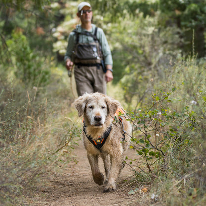 Ruffwear Web Master™ Harness, Ausbruchsicheres Hundegeschirr - Woofshack