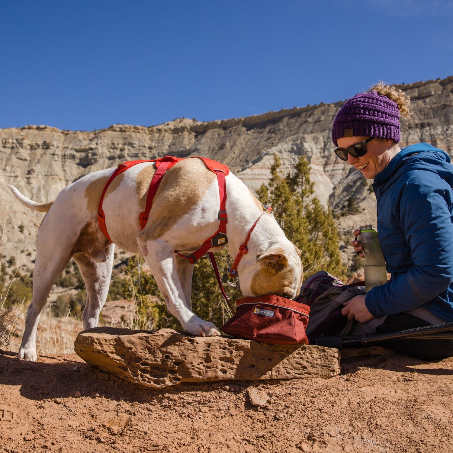 Ruffwear Web Master™ Harness, Ausbruchsicheres Hundegeschirr - Woofshack