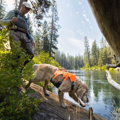 Ruffwear Web Master™ Harness, Ausbruchsicheres Hundegeschirr - Woofshack