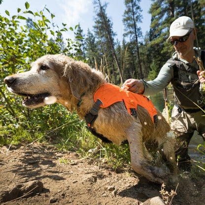 Ruffwear Web Master™ Harness, Ausbruchsicheres Hundegeschirr - Woofshack