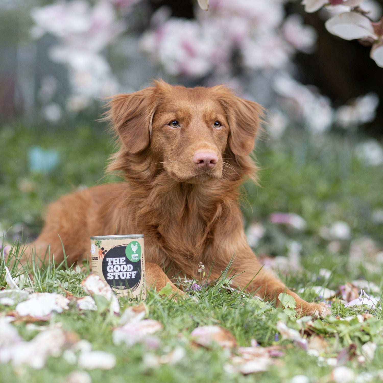 The Goodstuff Hunde Nassfutter, Huhn - Woofshack