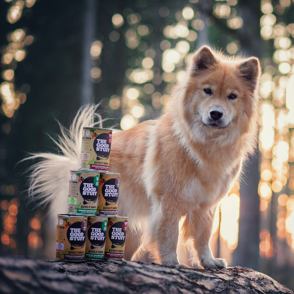 The Goodstuff Hunde Nassfutter, Pferd - Woofshack