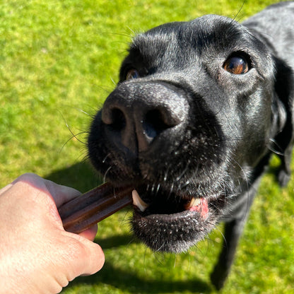 WOW Natural Dentals - Zahnpflege Hundesnack - Woofshack